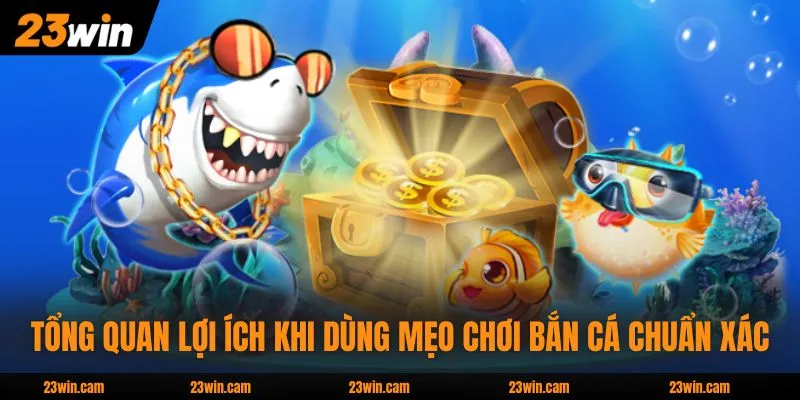 Tổng quan lợi ích khi dùng mẹo chơi bắn cá chuẩn xác